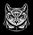 white owl totem head with a third eye on black vector image