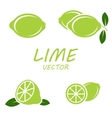 flat lime icons set vector image