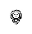 lion head vector image