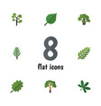 flat icon bio set of jungle tree alder and other vector image vector image