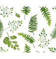 seamless greenery botanical pattern with leaves vector image