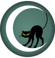 halloween circle graphic with black cat vector image vector image