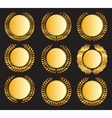 gold medal and laurels vector image vector image