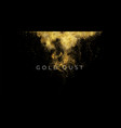 gold sequins glitter dust isolated on black vector image
