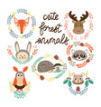 set of cute forest elements animals and plants vector image