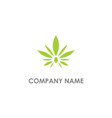 cannabis leaf eco logo vector image