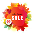 autumn sale banner with colorful stain and leaves vector image