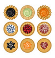 jam and chocolate pie set vector image vector image