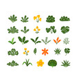 set of tropical tree paintings vector image vector image