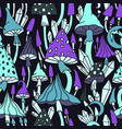 psychedelic hallucinogenic mushrooms and fly vector image