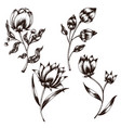 flower and leaf sketch art collection hand drawn vector image
