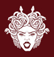 angry gorgon with snakes and open mouth in hand vector image vector image