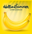 hello summer poster with bananas on yellow vector image vector image