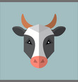 flat style poly cow icon isolated on a blue vector image vector image