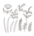 flower and leaf sketch art collection hand drawn vector image