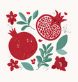 set design elements in vintage style red vector image