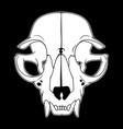 anatomical drawing an animal skull vector image vector image