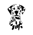 decorative outline portrait of dog dalmatian vector image vector image