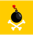 bomb with bones pirates sign vector image vector image
