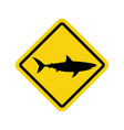 sharks warning vector image