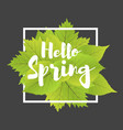 hello spring lettering with hand drawn letters vector image vector image