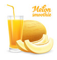 melon smoothie vector image vector image