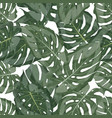 green leaf pattern seamless floral background vector image
