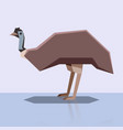 flat design emu vector image vector image