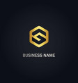 s initial polygon gold logo vector image vector image