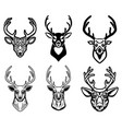 set of deer head on white background design vector image