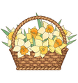 basket flowers vector image