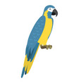 cartoon tropical parrot wild animal bird vector image vector image
