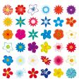 flower set vector image vector image