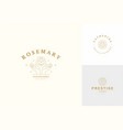 line logos emblems design templates set vector image vector image
