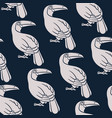 seamless pattern with toucans birds vector image