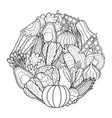 doodle vegetables circle shape pattern vector image vector image