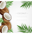 coconut background realistic layout vector image