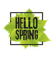 hello spring lettering with hand drawn letters vector image vector image