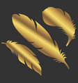 art golden color feathers sign object symbol vector image