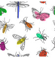 pattern insect white vector image