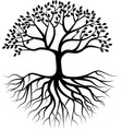 tree silhouette with root vector image