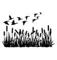 silhouette of duck bird flock flight over marsh vector image