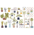 house plants isolated elements set bundle vector image