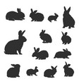 rabbits silhouettes bunny silhouette set vector image