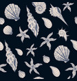 seamless pattern with graphic shell in vintage vector image vector image