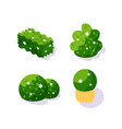 set various garden 3d shrubs flower plants vector image vector image