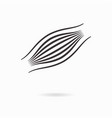 muscle fiber icon sign vector image