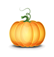 ripe pumpkin vector image
