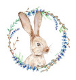 watercolor easter bunny with floral wreath vector image