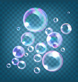 realistic soap bubbles vector image vector image